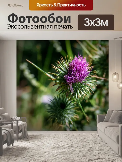 Фотообои Природа
