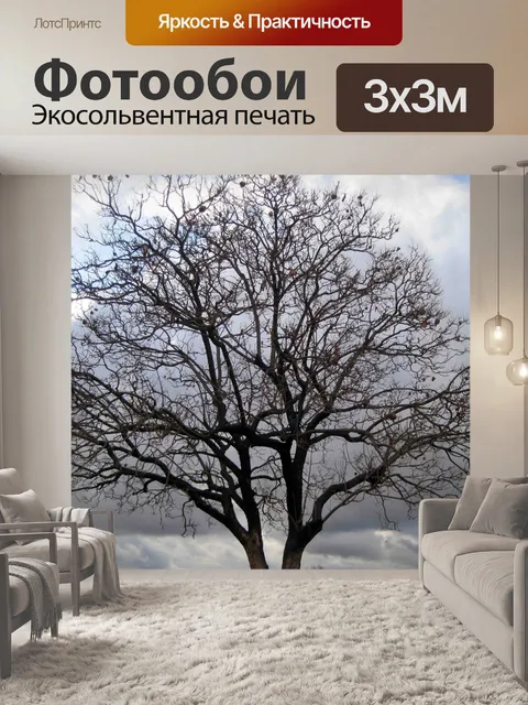 Фотообои голое дерево с семенами