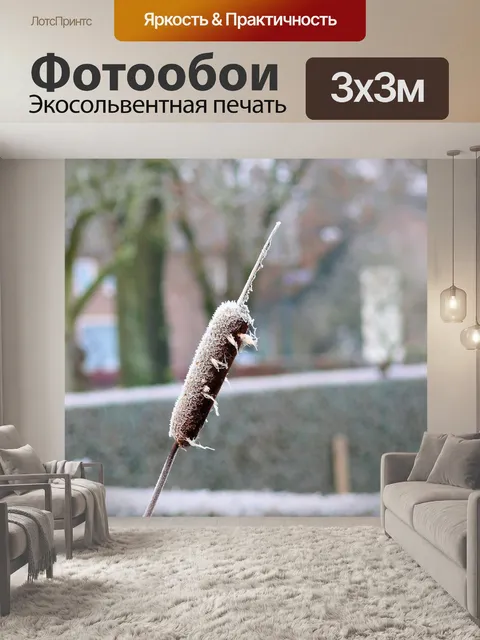 Фотообои Зима