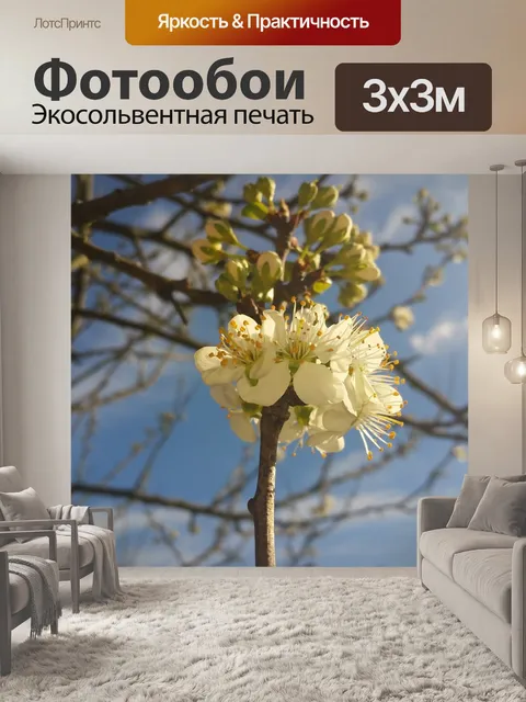 Фотообои Цветение сливы