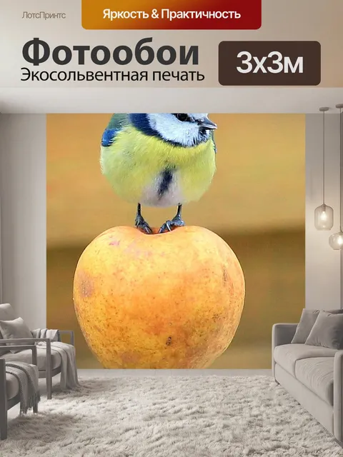 Фотообои Синица