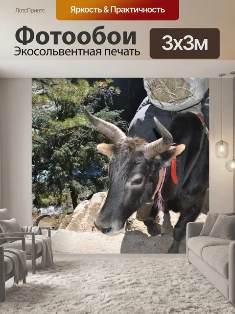 Фотообои Як в Гималаях.