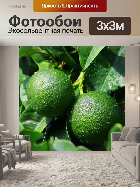 Фотообои Лайм