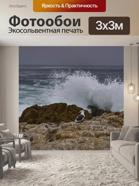 Фотообои Преодолевая прибой с камнями и птицами