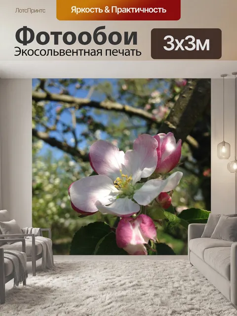 Фотообои Яблоневый цвет
