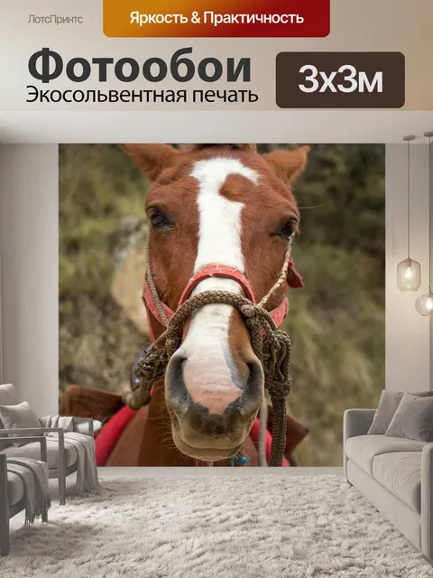 Фотообои Лошадь