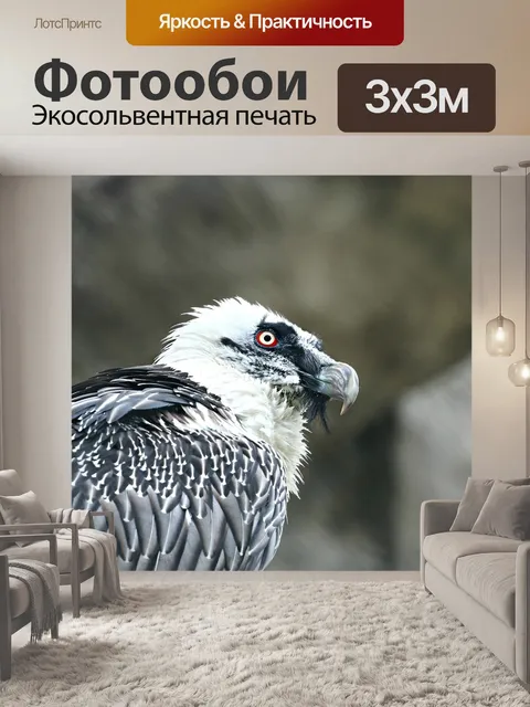 Фотообои Орел