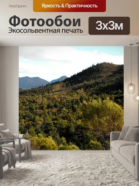 Фотообои Сосновый лес