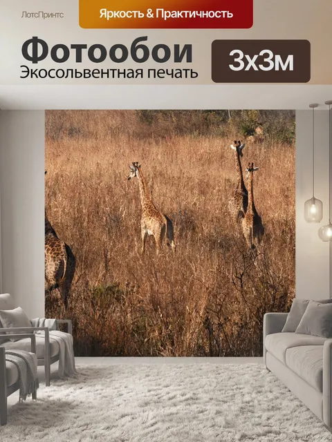 Фотообои группа жирафов удаляется