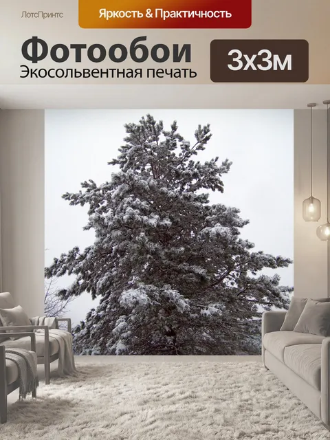 Фотообои Вечнозеленое дерево в снегу