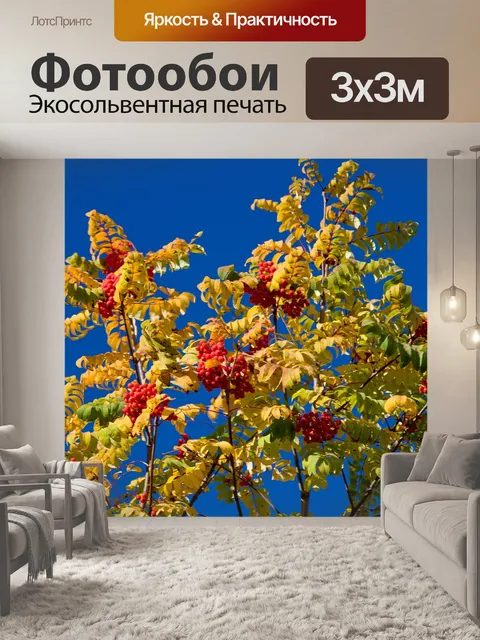 Фотообои Рябина