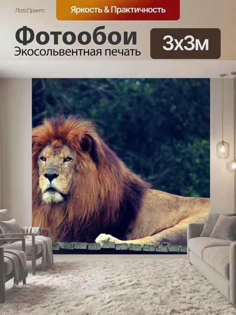 Фотообои Лев