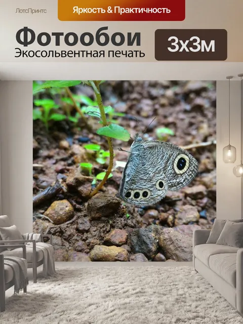Фотообои После дождя