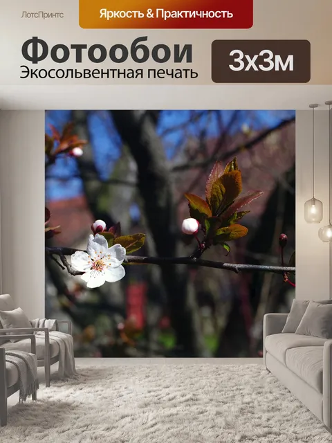 Фотообои Цветок