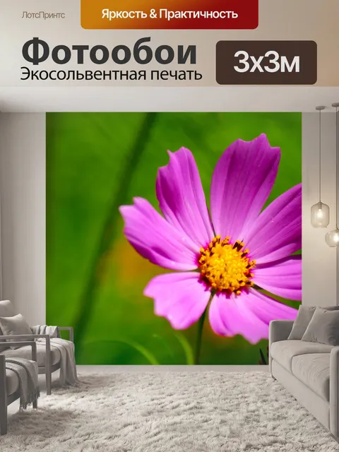 Фотообои Розовый цветок Макро