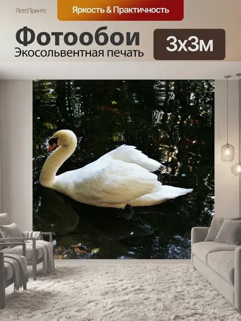 Фотообои лебедь на пруду