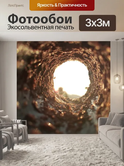 Фотообои Туннель