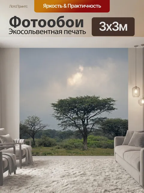 Фотообои колючие деревья под облачным небом