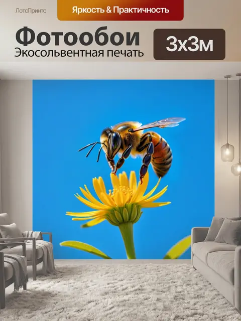 Фотообои пчела на фоне голубого неба