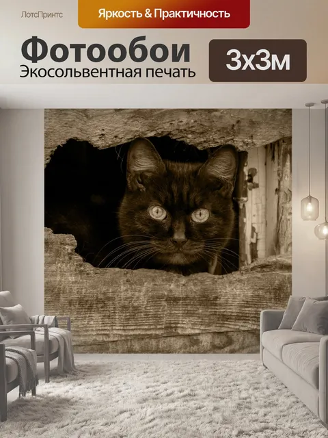 Фотообои Черный кот