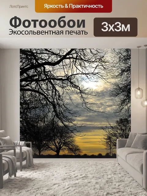 Фотообои Дерево и небо