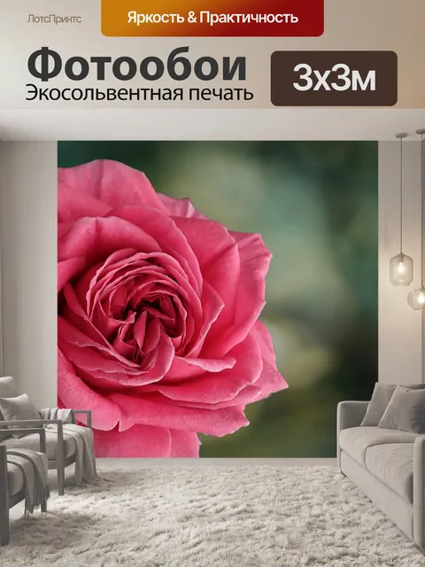 Фотообои Цветок розы в цвету Ретро