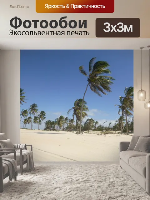 Фотообои Кокосовые пальмы