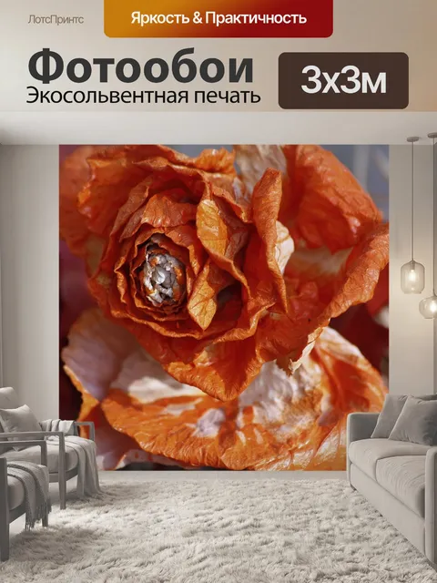 Фотообои Роза