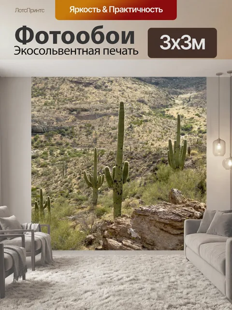 Фотообои Сагуаровые кактусы