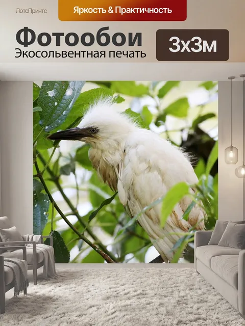 Фотообои Белая цапля