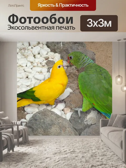Фотообои Волнистый попугайчик