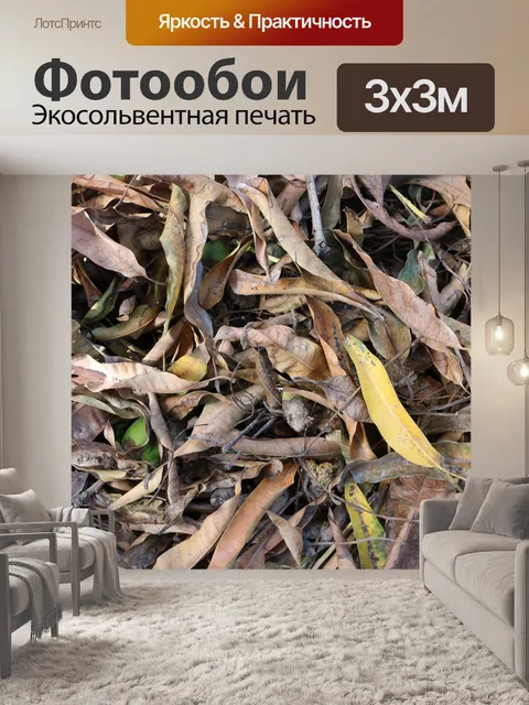 Фотообои Листы