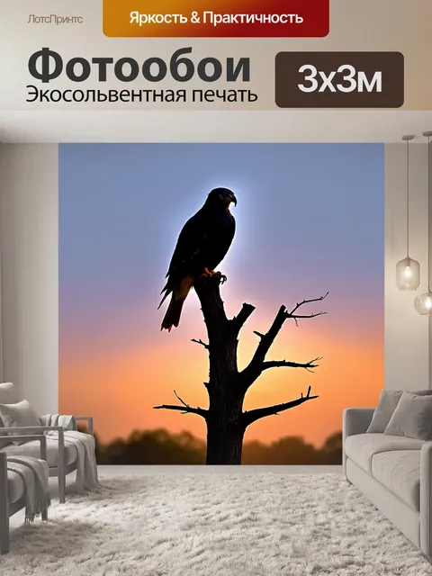 Фотообои сокол, сидящий на верху старого высокоствольного дерева, всего лишь силуэтом на фоне заката