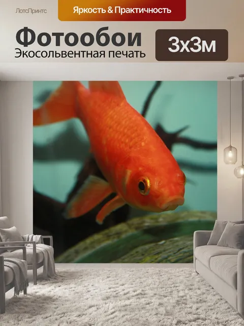 Фотообои Fish