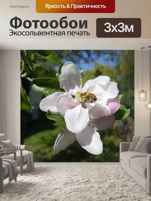 Фотообои Яблоневый цвет