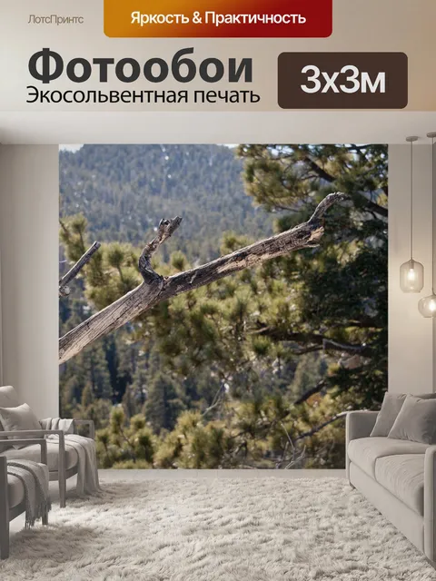 Фотообои Отделение в лесу