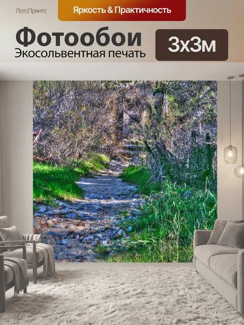 Фотообои Грязевой путь со скалами