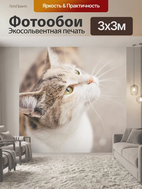 Фотообои Кошка