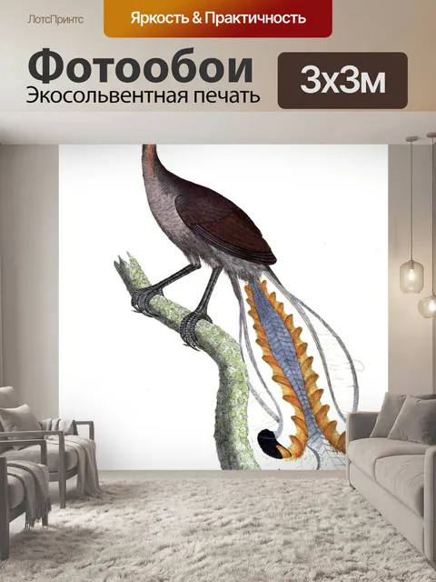 Фотообои Лира