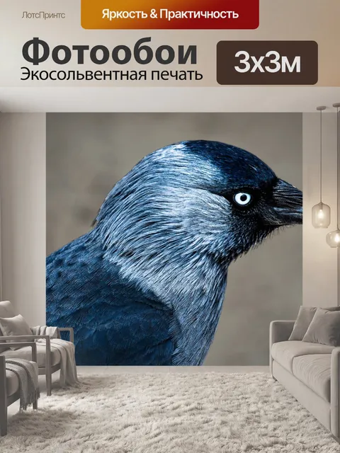 Фотообои Галка