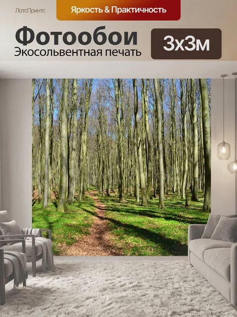 Фотообои Лес
