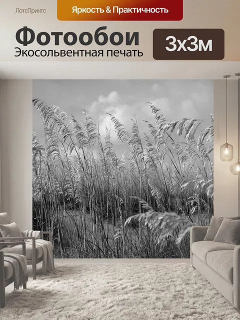 Фотообои Морские овсы