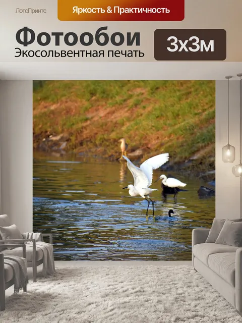 Фотообои Журавлей