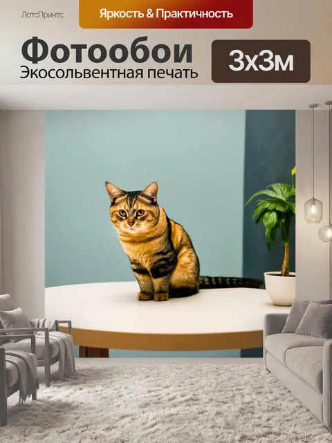 Фотообои животные в стиле минимализм с дизайнерским изображением кота, сидящего на столе