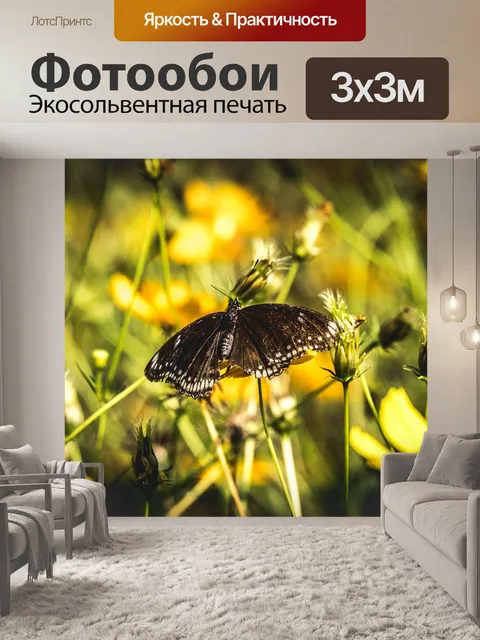 Фотообои Бабочка