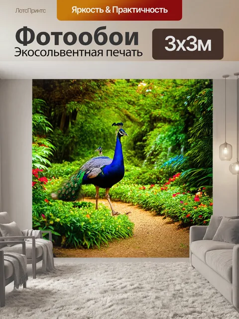 Фотообои величественный индийский павлин спокойно шагает по зеленому лесу