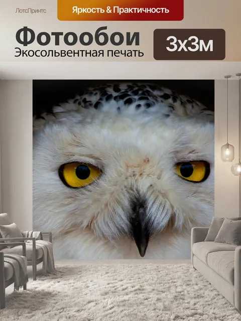 Фотообои Белая сова