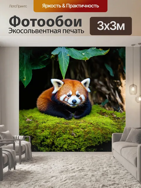 Фотообои красная панда, свернувшись в клубочек на ярко-зеленом моховом ковре, нежно прикрывает глаза