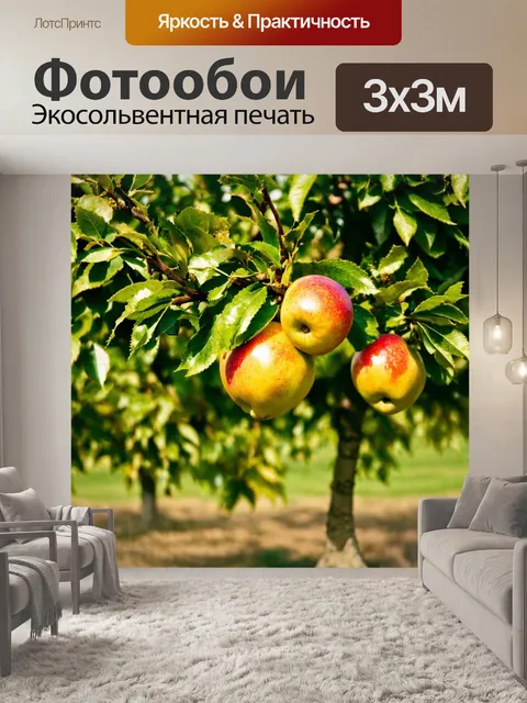 Фотообои зеленые в стиле раскраска, фруктовые деревья и урожай