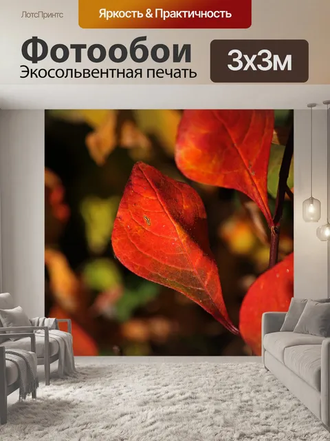 Фотообои красные осенние листья